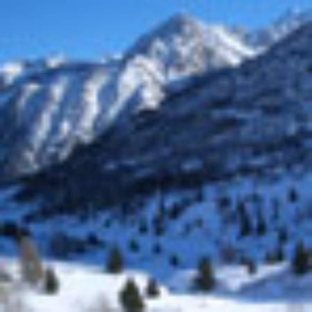 Jai Maa Sarda Bhojanalya